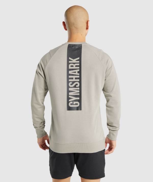 Panske Pulovre Gymshark Bold Crew Siva | YC3279604